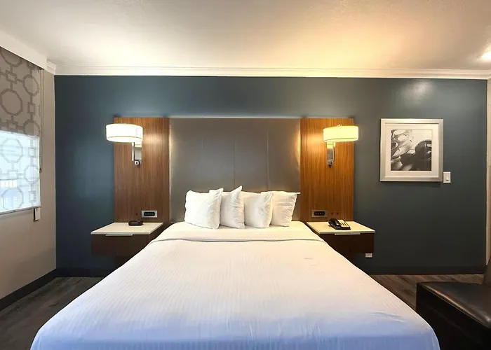 Best Western Hollywood Plaza - Walk Of Fame Film City La